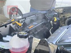 جيب رينيجيد